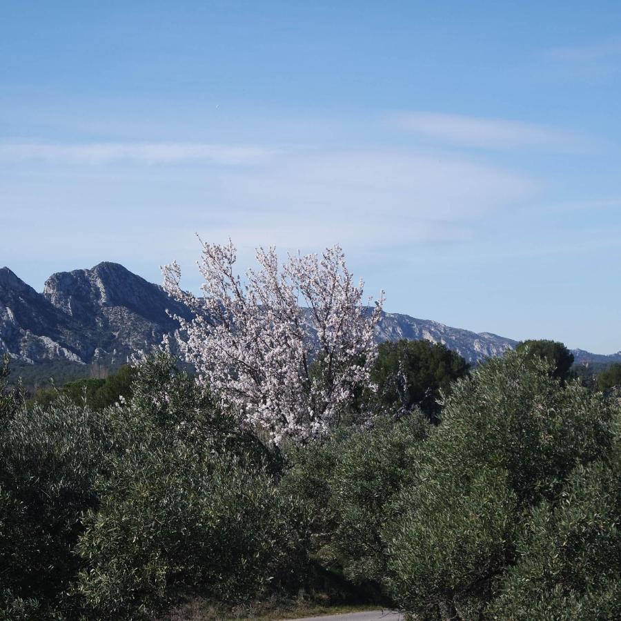 Mas Grimaud - Gite- Studio Et Chambres D'Hotes Familiales Eygalieres  Luaran gambar